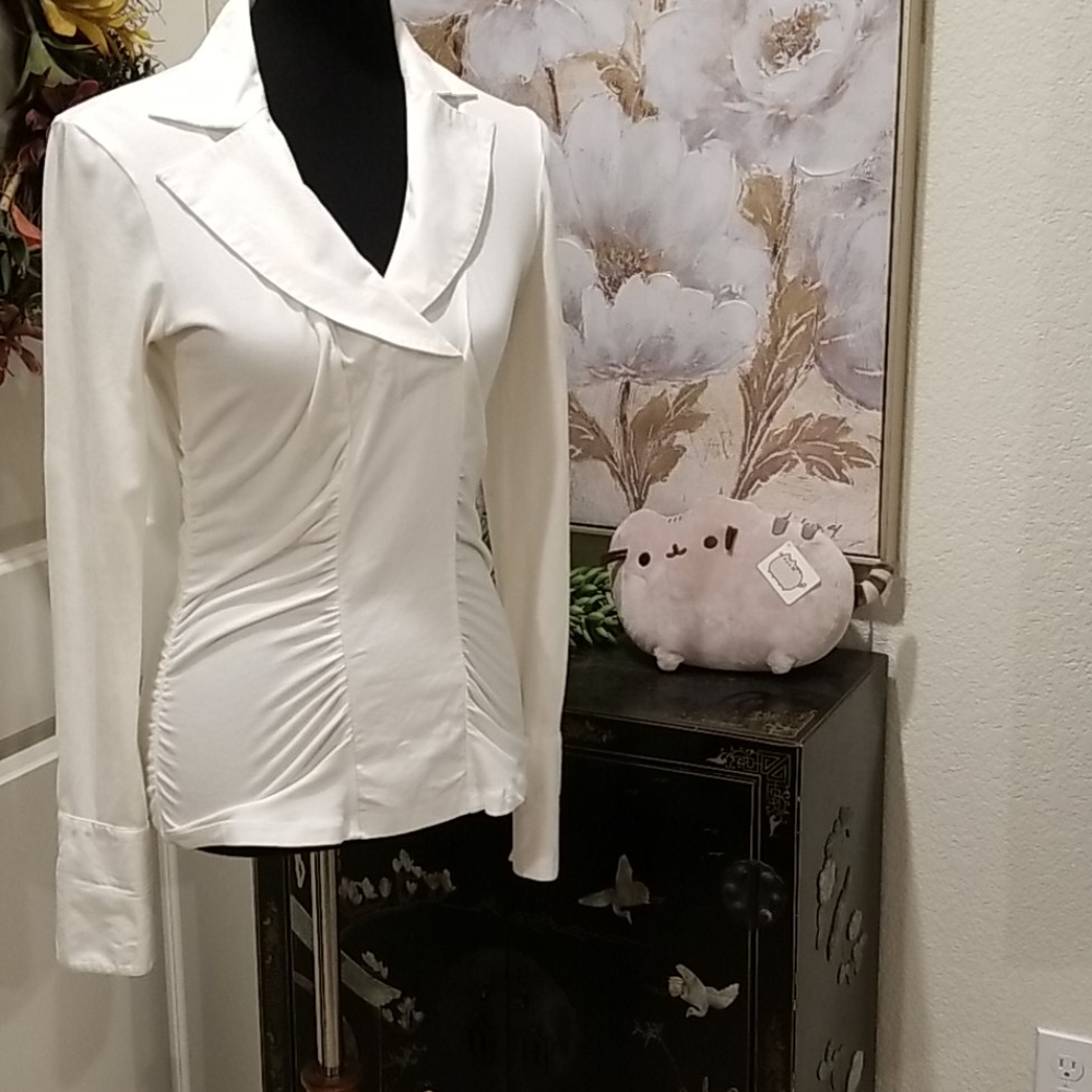 CAbi Long Sleeve Business Blouse